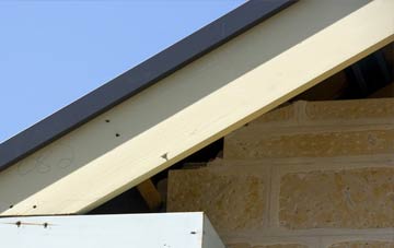 Muirhead fascia repairs