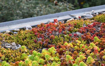 the cost of Muirhead green roof installation