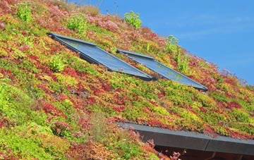 Muirhead living roof systems