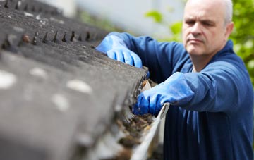 cleaning and inspecting Muirhead roofs