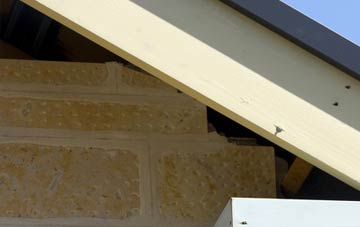 soffit repair Muirhead